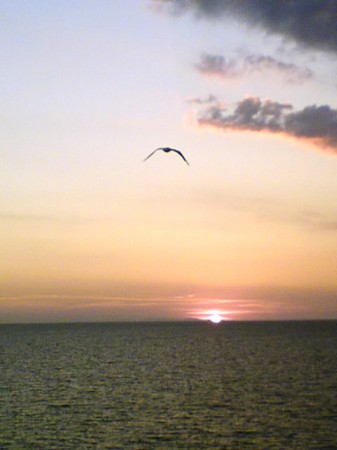 fOTOGRAFIA