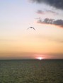fOTOGRAFIA