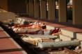 /album/galleria-foto-national-geographic/img-5271-jpg1/