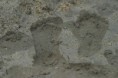 /album/galleria-foto-mare/img-2655-jpg/