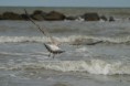 /album/galleria-foto-mare/img-2715-jpg1/